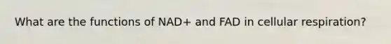 What are the functions of NAD+ and FAD in cellular respiration?