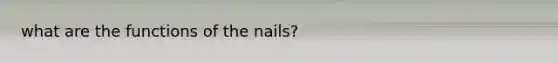 what are the functions of the nails?