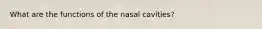 What are the functions of the nasal cavities?