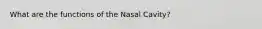 What are the functions of the Nasal Cavity?