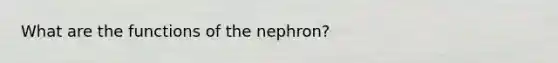 What are the functions of the nephron?