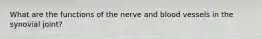 What are the functions of the nerve and blood vessels in the synovial joint?