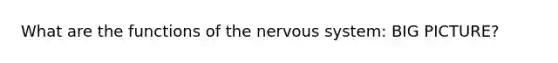 What are the functions of the nervous system: BIG PICTURE?