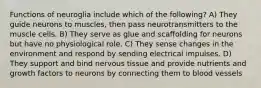 Functions of neuroglia include which of the following? A) They guide neurons to muscles, then pass neurotransmitters to the muscle cells. B) They serve as glue and scaffolding for neurons but have no physiological role. C) They sense changes in the environment and respond by sending electrical impulses. D) They support and bind nervous tissue and provide nutrients and growth factors to neurons by connecting them to blood vessels