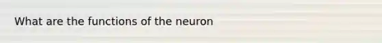 What are the functions of the neuron