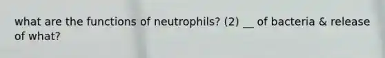 what are the functions of neutrophils? (2) __ of bacteria & release of what?