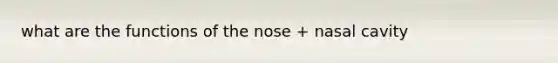 what are the functions of the nose + nasal cavity