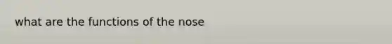 what are the functions of the nose