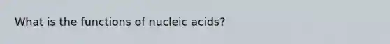 What is the functions of nucleic acids?