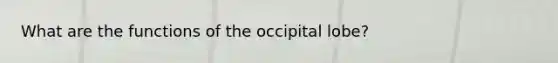 What are the functions of the occipital lobe?