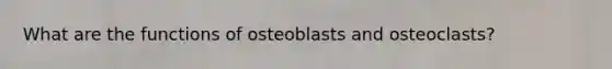 What are the functions of osteoblasts and osteoclasts?