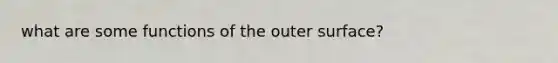 what are some functions of the outer surface?