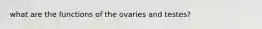 what are the functions of the ovaries and testes?