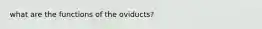 what are the functions of the oviducts?