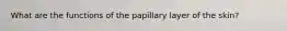 What are the functions of the papillary layer of the skin?