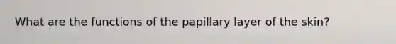 What are the functions of the papillary layer of the skin?