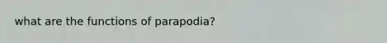 what are the functions of parapodia?