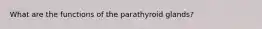 What are the functions of the parathyroid glands?