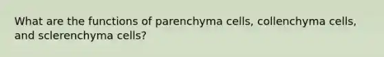 What are the functions of parenchyma cells, collenchyma cells, and sclerenchyma cells?