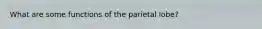 What are some functions of the parietal lobe?