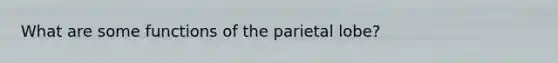 What are some functions of the parietal lobe?