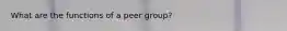 What are the functions of a peer group?