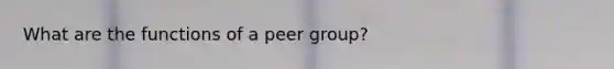 What are the functions of a peer group?