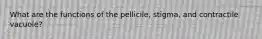 What are the functions of the pellicile, stigma, and contractile vacuole?