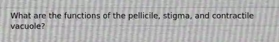 What are the functions of the pellicile, stigma, and contractile vacuole?