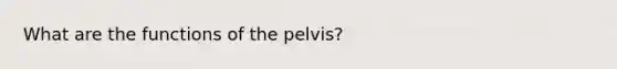 What are the functions of the pelvis?