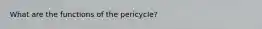 What are the functions of the pericycle?