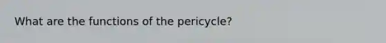 What are the functions of the pericycle?