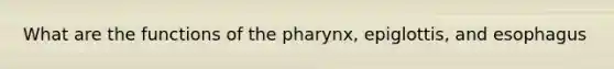 What are the functions of the pharynx, epiglottis, and esophagus