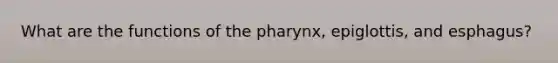 What are the functions of the pharynx, epiglottis, and esphagus?