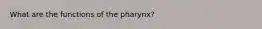 What are the functions of the pharynx?