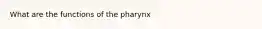 What are the functions of the pharynx