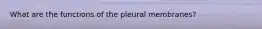 What are the functions of the pleural membranes?