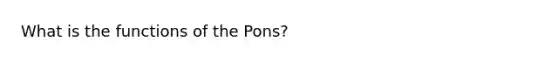 What is the functions of the Pons?