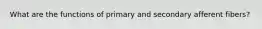 What are the functions of primary and secondary afferent fibers?