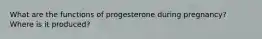 What are the functions of progesterone during pregnancy? Where is it produced?