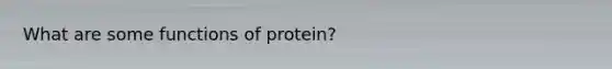 What are some functions of protein?