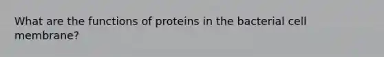 What are the functions of proteins in the bacterial cell membrane?