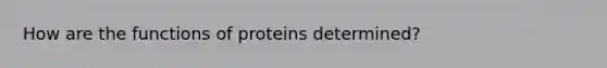 How are the functions of proteins determined?