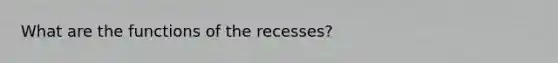 What are the functions of the recesses?