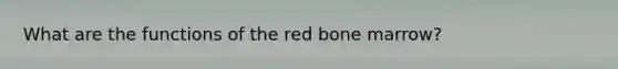 What are the functions of the red bone marrow?