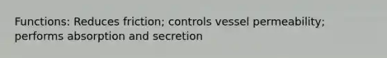 Functions: Reduces friction; controls vessel permeability; performs absorption and secretion