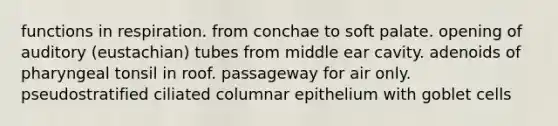 functions in respiration. from conchae to soft palate. opening of auditory (eustachian) tubes from middle ear cavity. adenoids of pharyngeal tonsil in roof. passageway for air only. pseudostratified ciliated columnar epithelium with goblet cells