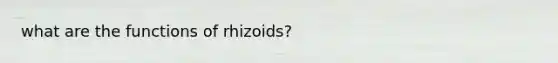 what are the functions of rhizoids?