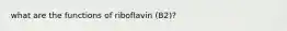 what are the functions of riboflavin (B2)?