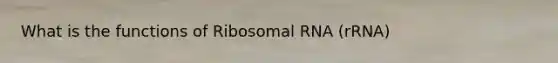 What is the functions of Ribosomal RNA (rRNA)